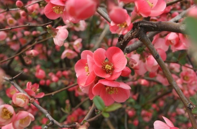Слънчево и топло, температурите скачат до 25°