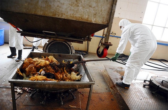 Първи случай на заразен с щама на птичи грип H7N9 извън Китай