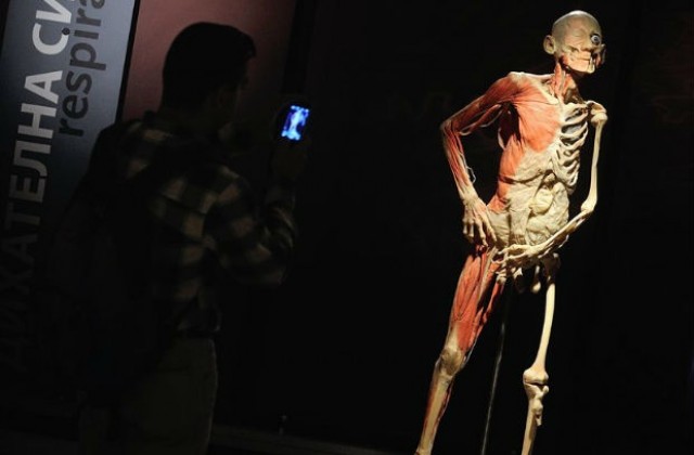В столицата подредиха изложба, посветена на човешката анатомия