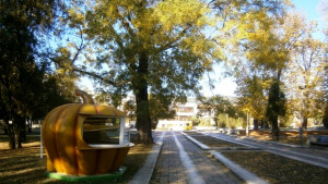 Севлиево отново става Столица на тиквата