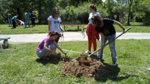 Алея на здравето оформиха ученици в горнооряховски парк
