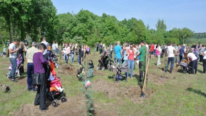 446 дръвчета за 3 години в димитровградската Алея на живота