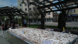 Севлиевският тиквеник достигна 235 метра