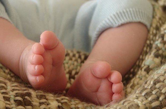 Над 330 деца от ДМСГД изведени в семейства за по-малко от 2 години