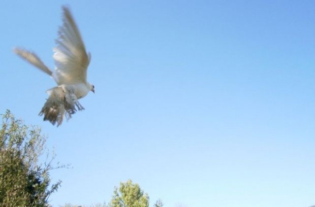 В Благоевград отчетоха температурен рекорд