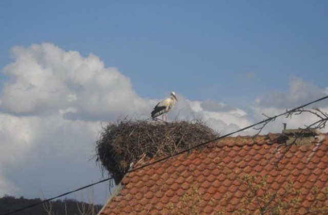 Температури през май - от 4 до 32 градуса