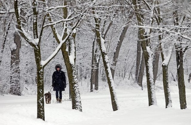 Сняг затрупа Испания