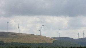 Отново ограничиха производството на ток от ВЕИ в Западна България