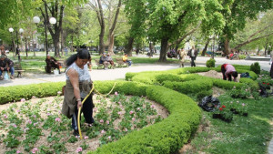 Сушата и кражбите съсипват градското озеленяване в Стара Загора