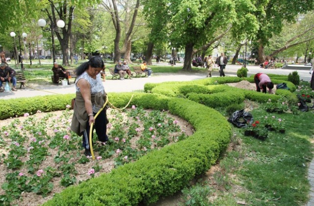 Сушата и кражбите съсипват градското озеленяване в Стара Загора