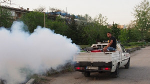 Община Видин започна обработка срещу комарите
