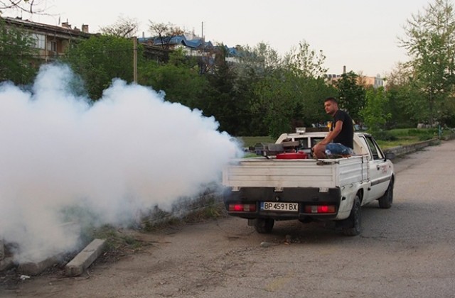 Община Видин започна обработка срещу комарите