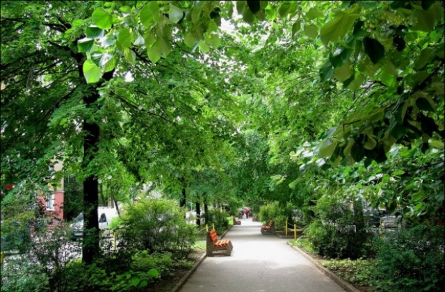 Поздрав от кмета на Враца