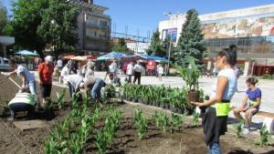 Близо 30 000 цветя ще украсят Горна Оряховица