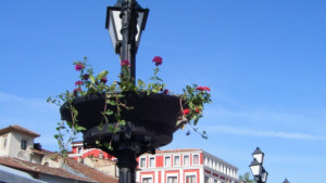 Малки висящи градини красят центъра на В Търново