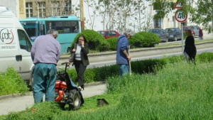 Разкриват 31 работни места по социална програма