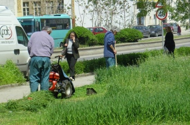 Разкриват 31 работни места по социална програма