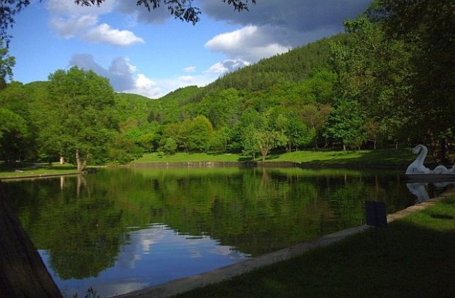 Европейски пикник в парк Бачиново