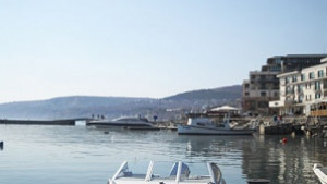 Определиха зоните за улов на рапани в Черно море