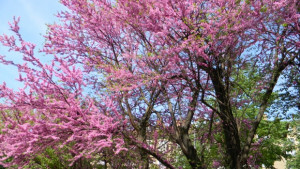 Слънчево и топло