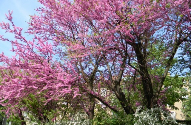Слънчево и топло