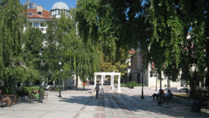 Общо 174 души в Община Видин ще дадат своя вот