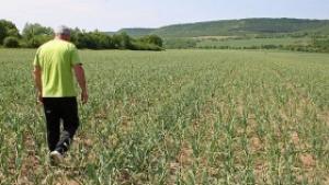 Започва кампания за безопасни условия на труд в селското стопанство