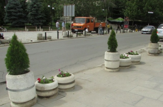 45 каменни саксии с цветя украсяват центъра на Г. Оряховица