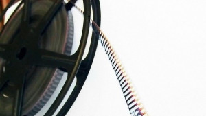 Седмица на португалоезичните държави в Клуб Таралеж