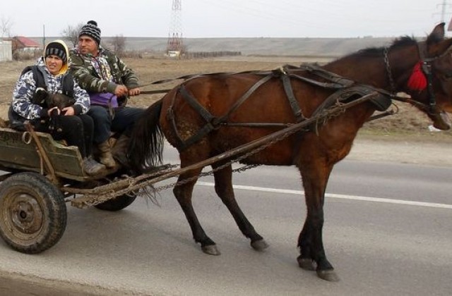 Кон изрита стопаните си от каруцата