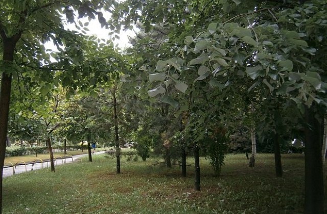 Облачността намалява