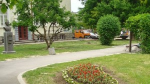 Да пазим зелените площи