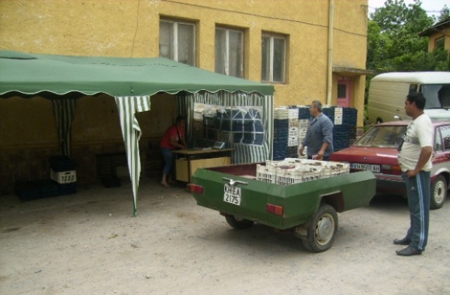 От 20 май се подават молби за разкриване на пунктове за изкупуване на череши