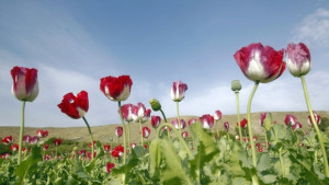 Времето се затопля