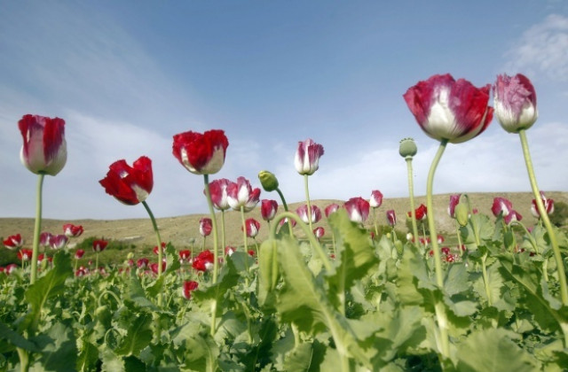 Времето се затопля