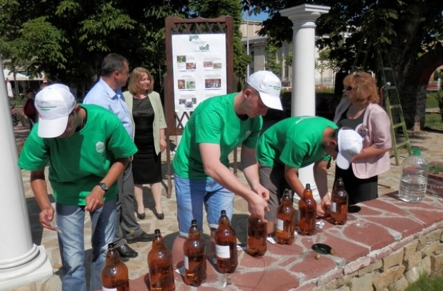 Ученици в Павликени спасяват кестените от листоминиращия молец