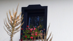 Там където България свършва