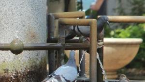 Топло с разкъсана облачност