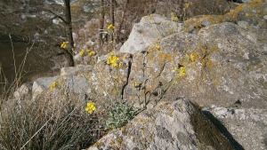 До 31 май приемат творби за конкурса Обичам природата и