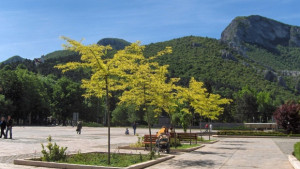 Безплатен WI FI в центъра на Враца