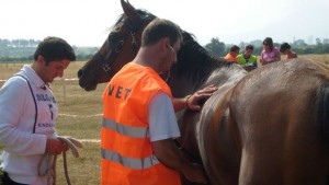 Силният вятър нанесе поражения на трасето за Световната купа