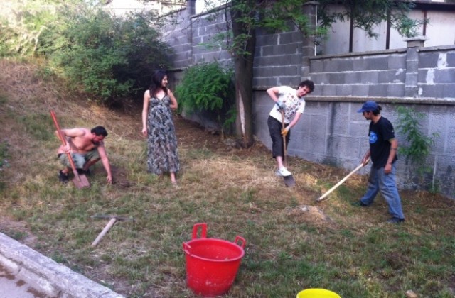 Доброволци на Различният поглед засадиха дръвчета в детска градина