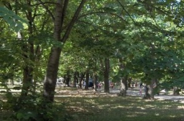 Детски празник в Парка на младежта