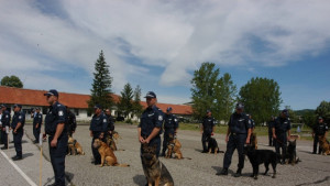 Търсят найдобрия водач на полицейско куче