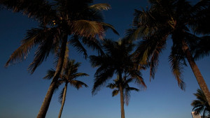 Море плаж и милиарди