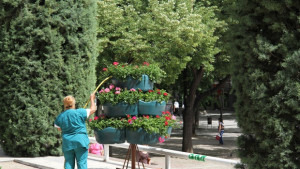 Украсиха с цветя централния булевард в Стара Загора
