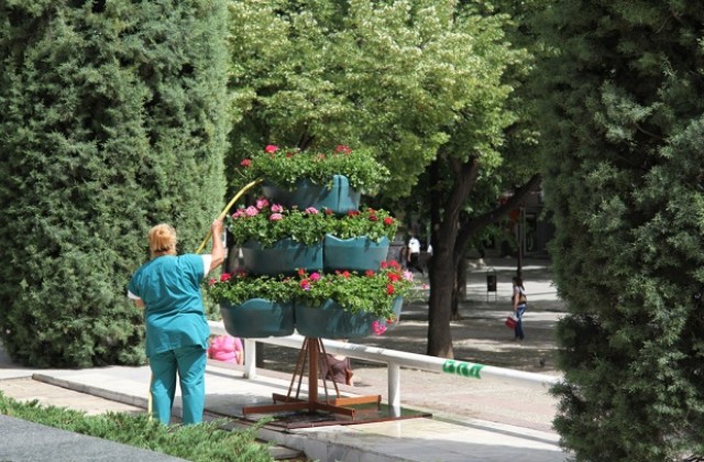 Украсиха с цветя централния булевард в Стара Загора