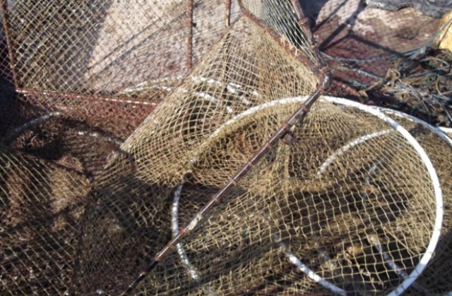 Любители на риболова не спазват забраните