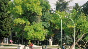 Свободен пазар Споделено детство ви очаква на Аязмото