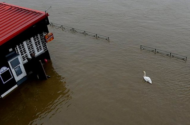 Наводненията в Централна Европа взеха десет жертви